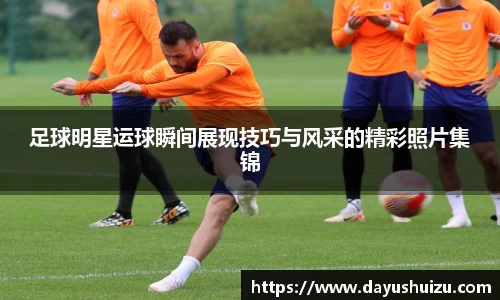 zoty中欧有限公司